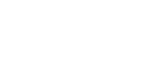 The Lee Team White