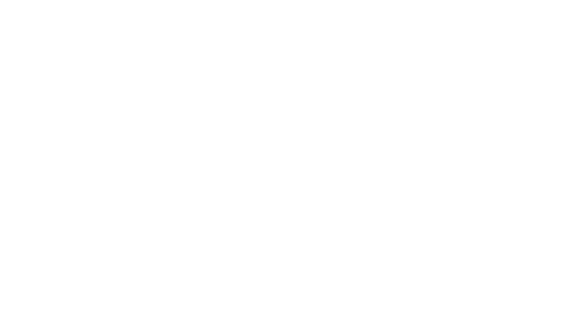 The Lee Team White