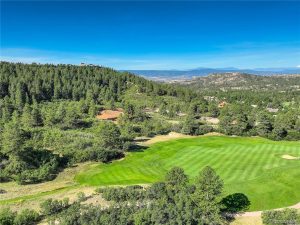 Vacant Lot in Castle Pines